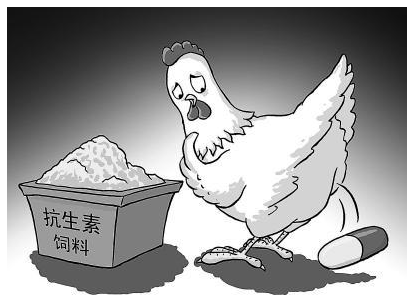 饲料全面"禁抗" 动物源食品安全未来可期