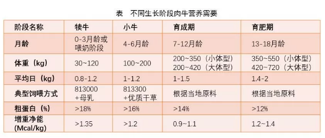 15776914602650534959162288437.png 2.png