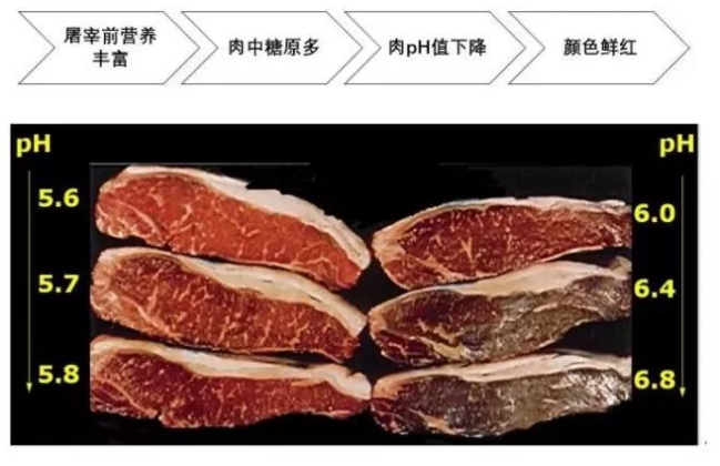 15776915572960834401390662461.png 3.png