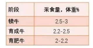 15776915825930466883325983659.png 4.png