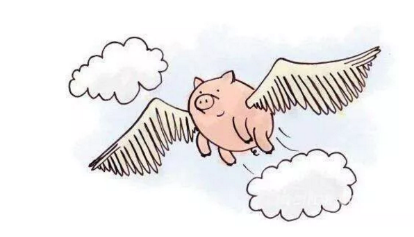 15782955363320500827045263315.png 22.png