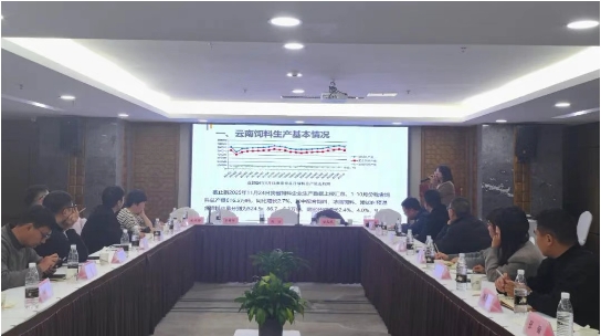 17648138731780912251617853078.png 4.png