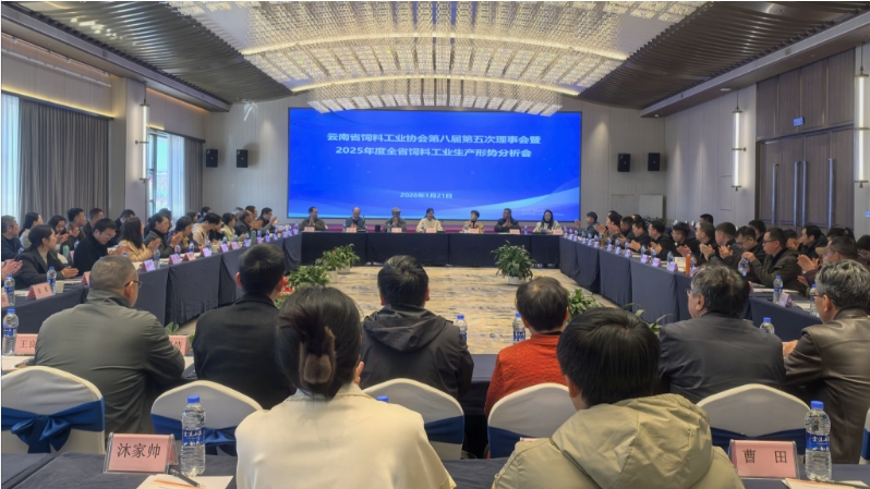 17693952294530939441811960409.png 17693952294530939441811960409.png