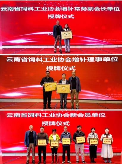 17693956663830684406893404331.png 17693956663830684406893404331.png