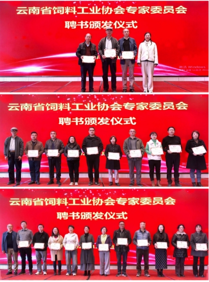 17693956767710129893790129568.png 17693956767710129893790129568.png